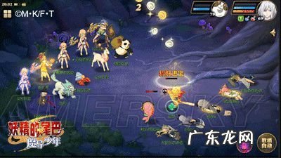 妖精的尾巴怎么和宠物资质 妖精的尾巴 宠物