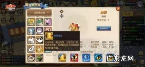 妖精的尾巴怎么和宠物资质 妖精的尾巴 宠物