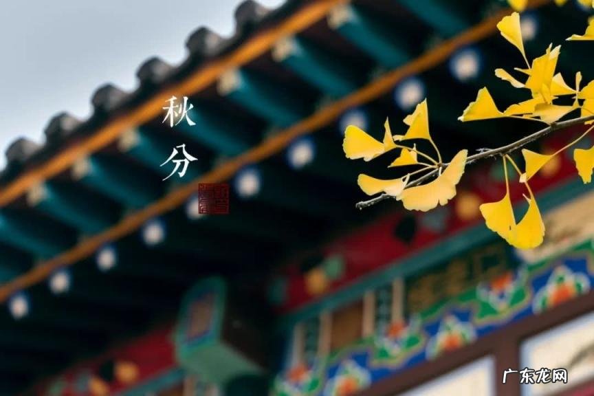 秋分三候分别是哪三候 秋分的三候是什么意思