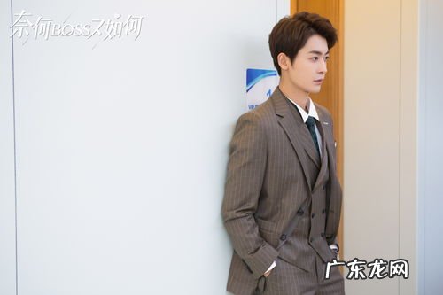 奈何boss又如何电视剧 奈何boss又如何免费观看全集不卡飘花