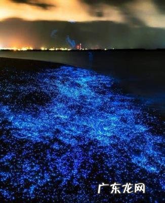 世界上那些十大壮观自然风景的地方,世界闻名的风景区有哪些地方