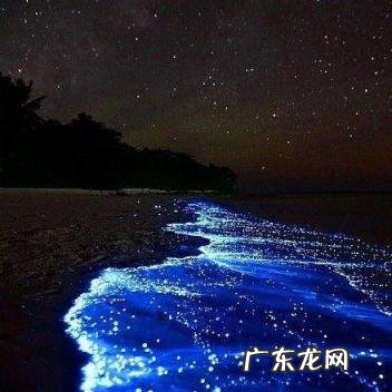 世界上那些十大壮观自然风景的地方,世界闻名的风景区有哪些地方