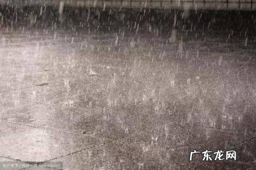 暴雨自救指南减肥美体操 暴雨自救指南心得体会