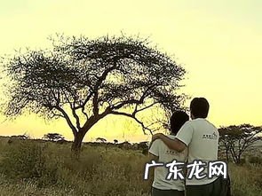 归属与归宿的意思 归宿的意思解释是什么