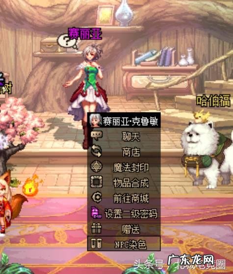 dnf可以给npc赠送什么 dnf怎么赠送礼物给npc