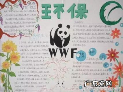 绿色环保手抄报内容资料大全 爱护环境绿色环保手抄报内容