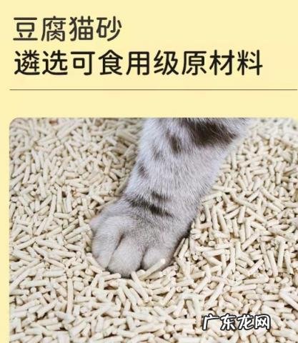 用不着的猫砂可以干什么 不用猫砂会怎么样