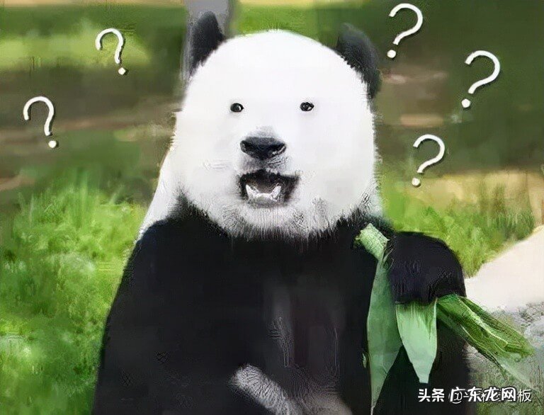 最安全的匿名举报方式 12345举报老师会被发现吗