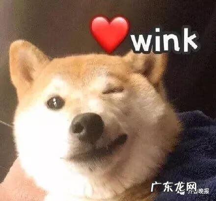 12345投诉后果 12345反复投诉怎么回复