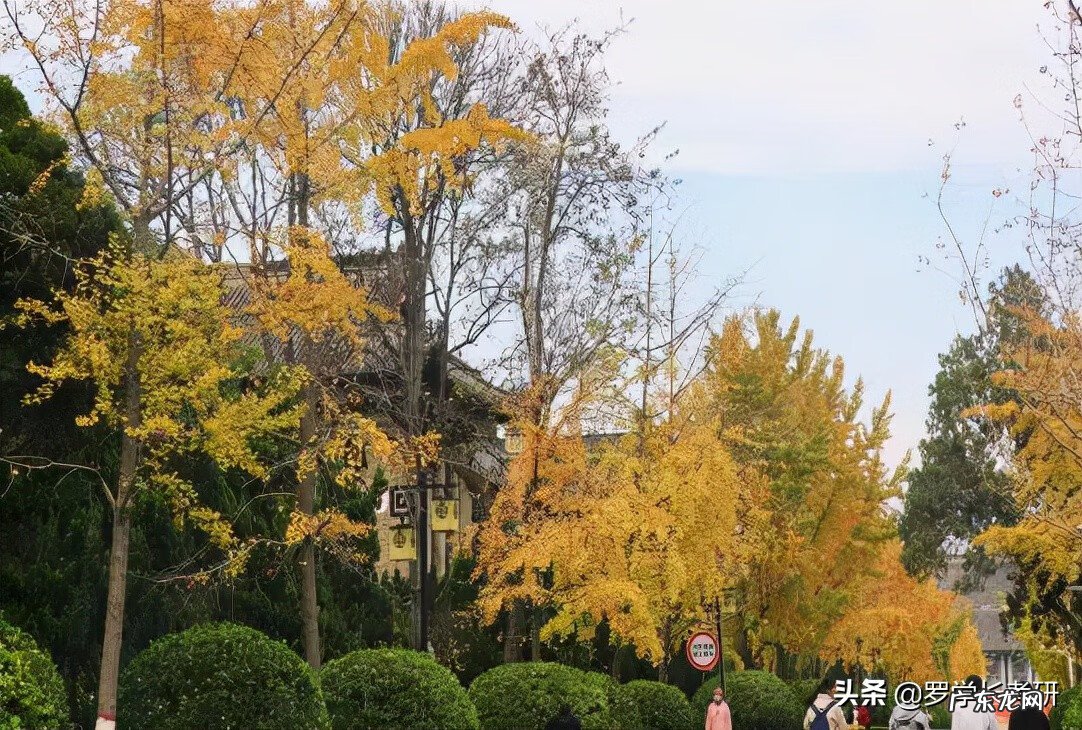 河南大学研究生学费多少 河南大学研究生学费标准