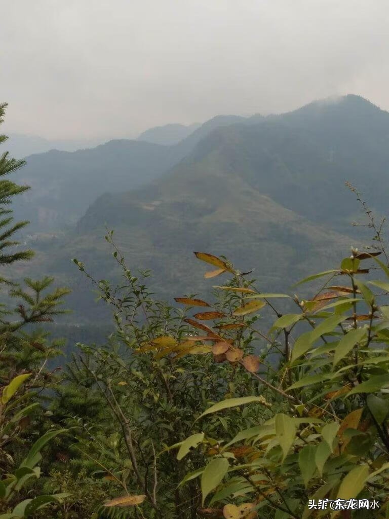 坟墓左青龙右北虎风水 青龙抱穴风水宝地图