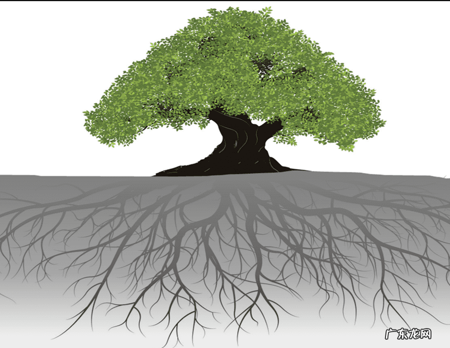 周易象数 周易风水中的定数