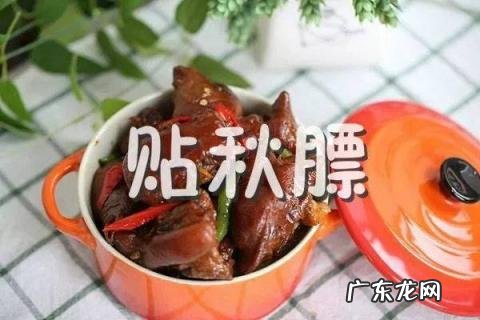 立秋可以种什么农作物 东北立秋种植什么农作物