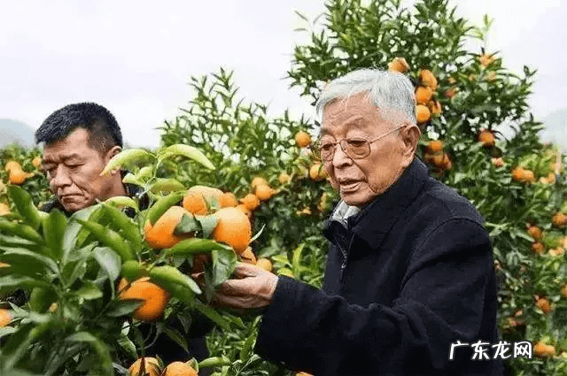 易经风水可信吗 幸福人生之易经风水