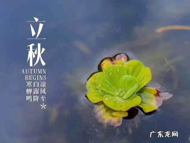 立秋一场雨下一句 立秋下雨万物收下一句是什么代表了劳动人民经验积累