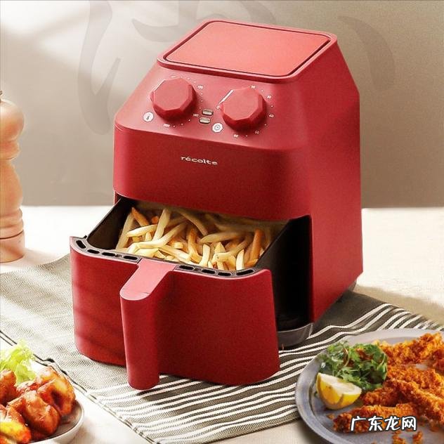 空气炸锅哪个品牌质量比较好 空气炸锅十大品牌排行榜