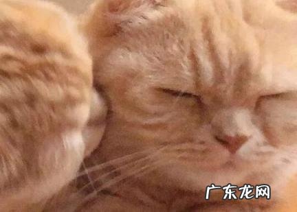 我想你没睡的三个意思 我想你没睡的三个意思表情包