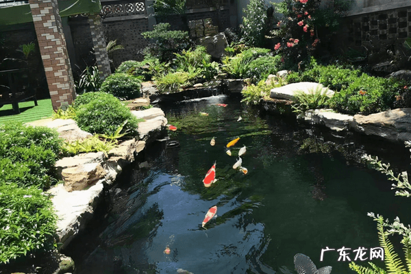 家中风水 风水池什么形状好图片