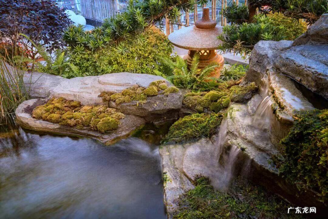 家中风水 风水池什么形状好图片