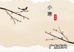 小寒节气养生要点 小寒节气如何养生小寒养生要养肾防寒99健康网