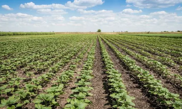 农业有哪些补贴 农业补贴政策