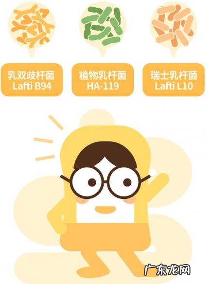 芊姿洛益生菌 纤芙姿益生菌固体饮料