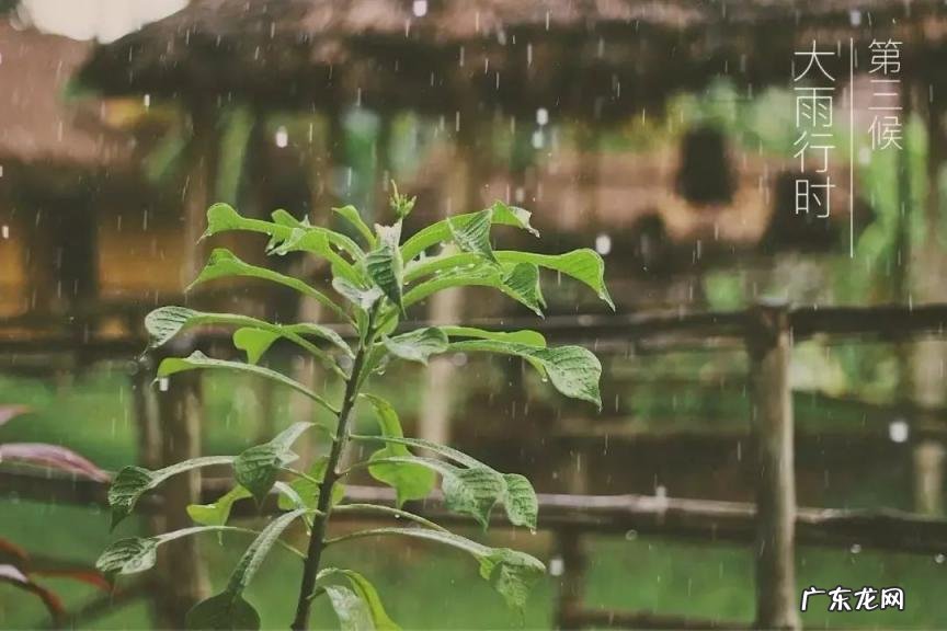 小暑有雨有什么说法 大暑下雨有什么说法