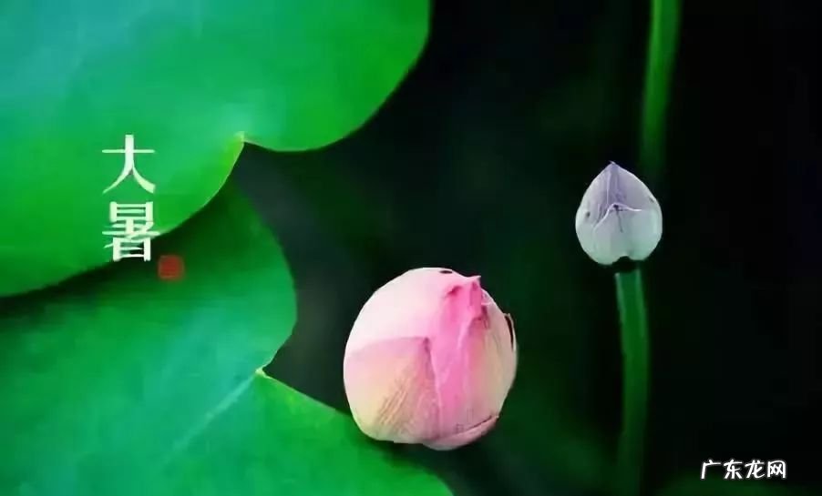 小暑有雨有什么说法 大暑下雨有什么说法
