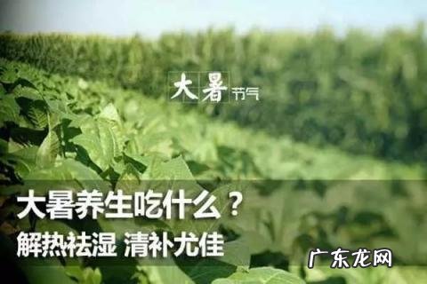 小暑有雨有什么说法 大暑下雨有什么说法