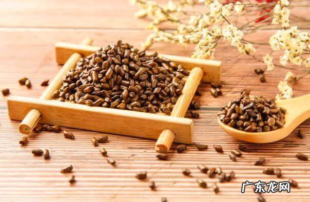 决明子泡水喝的正确方法 决明子的功效与作用泡水喝的功效决