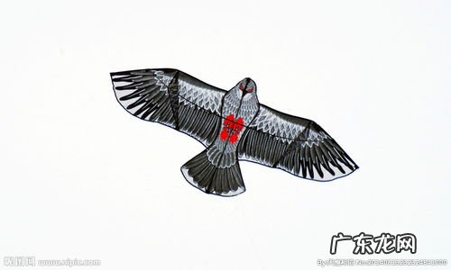 老鹰风筝绘画图片 老鹰风筝图片大全 简笔画彩色