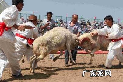 2020年徐州伏羊节在什么地方举办的 2021徐州伏羊节在什么地方举办的呀