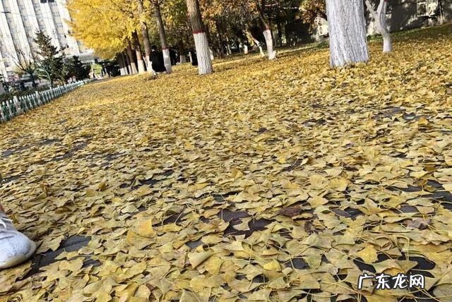 118论坛 华北科技学院网站