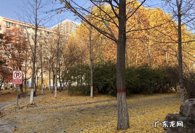 118论坛 华北科技学院网站