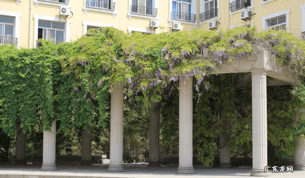 福建论坛 河北东方学院论坛