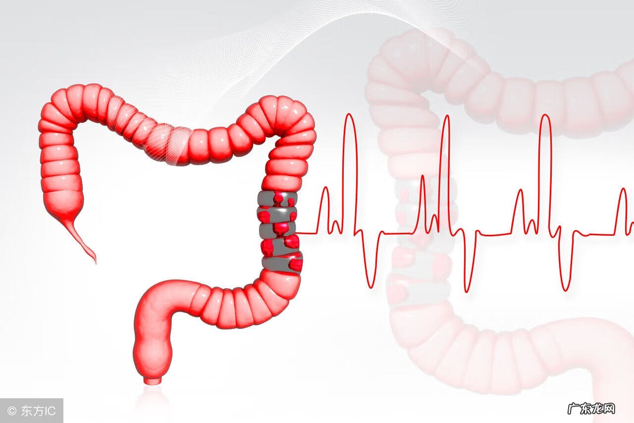 做一个b超需要多少钱 普通b超多少钱