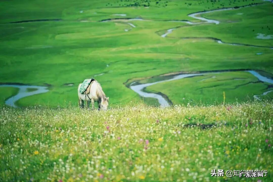 暑假去哪里玩最合适 暑假去哪里旅游最好?