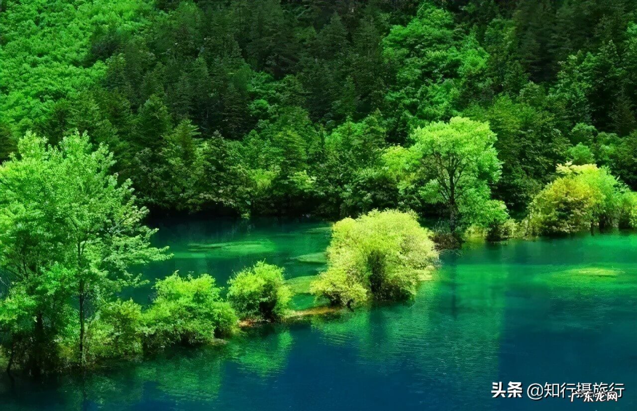 暑假去哪里玩最合适 暑假去哪里旅游最好?