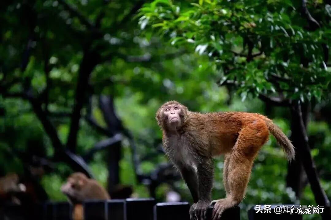 暑假去哪里玩最合适 暑假去哪里旅游最好?