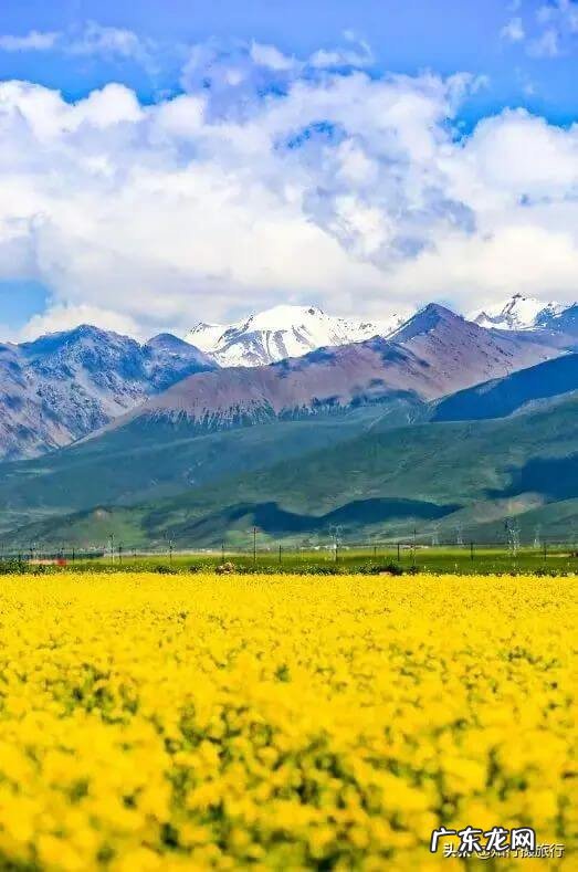 暑假去哪里玩最合适 暑假去哪里旅游最好?