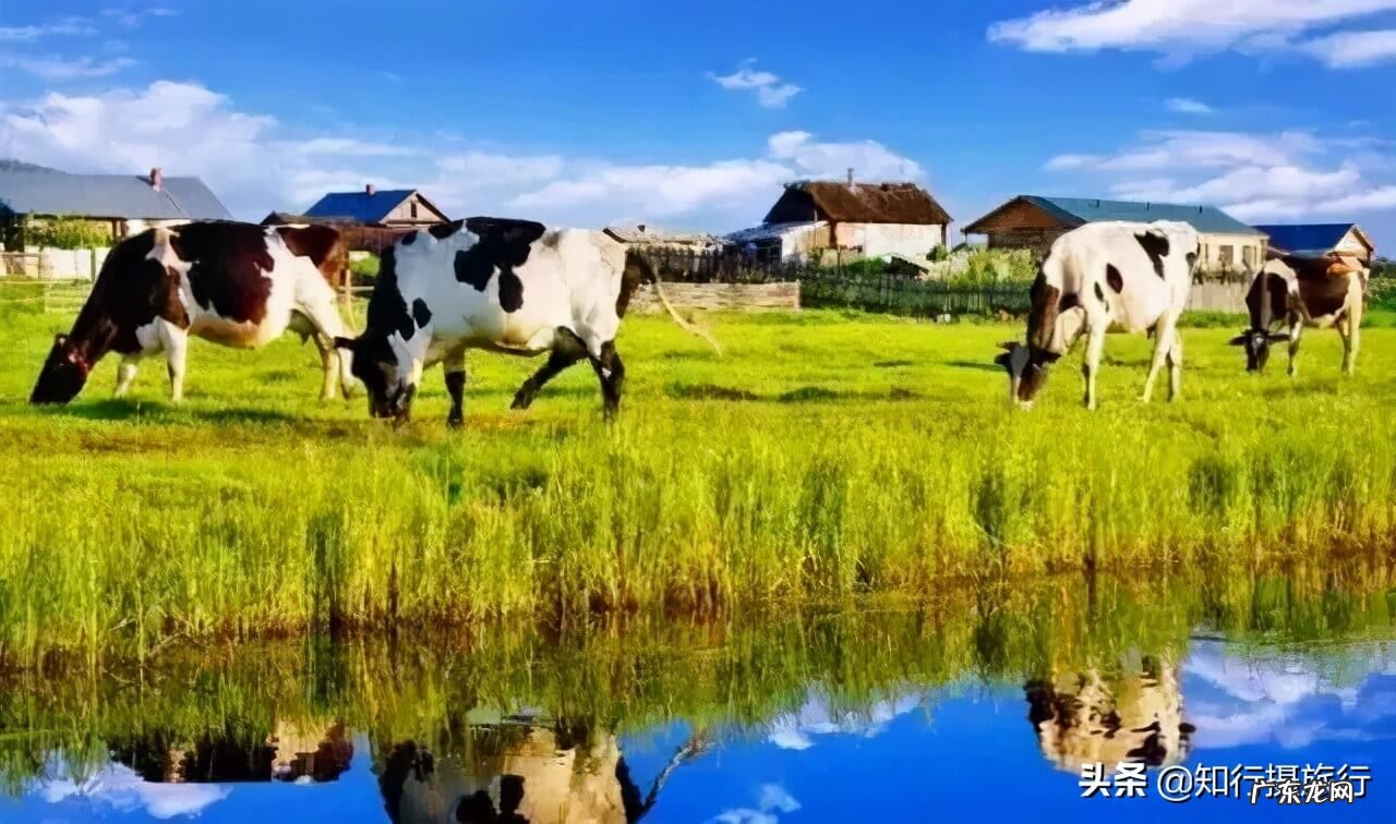 暑假去哪里玩最合适 暑假去哪里旅游最好?
