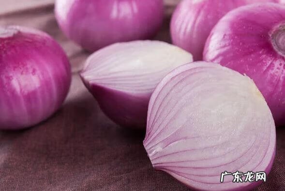 吃洋葱的四大禁忌 洋葱的功效与作用禁忌和食用方法