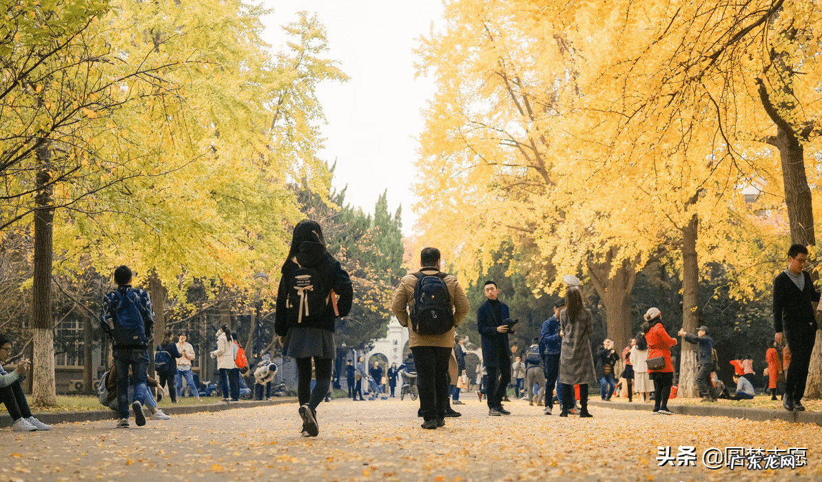 苏州大学一本录取分数线 苏州大学历届分数线