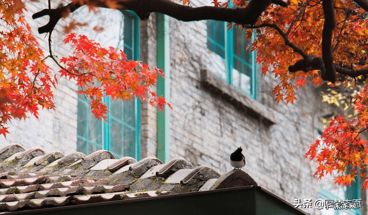 苏州大学一本录取分数线 苏州大学历届分数线