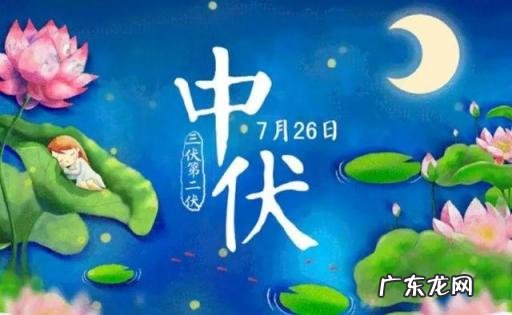 中伏十天年份 二伏有没有十天
