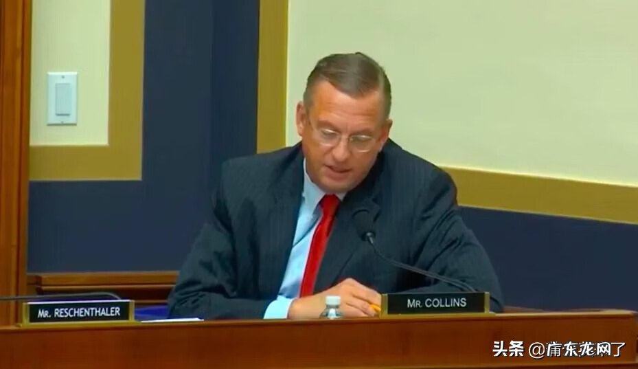 阿里蒲公英有什么用 阿里蒲公英是什么