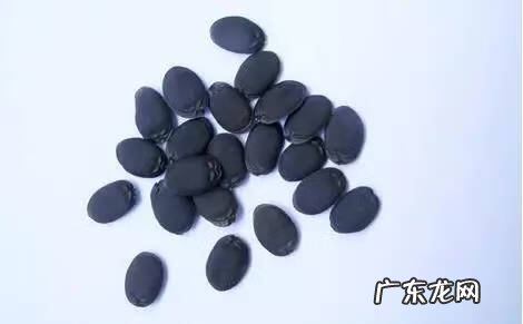 瓜子的营养价值与禁忌 瓜子的营养价值有多少