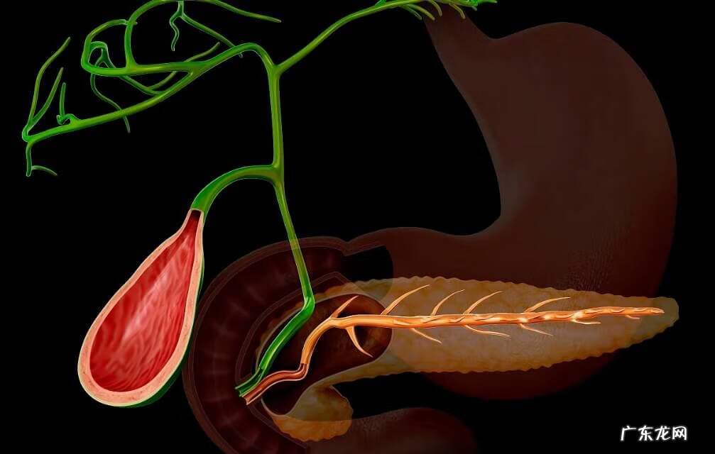 胆囊炎怎么形成的 急性胆囊炎的主要病因