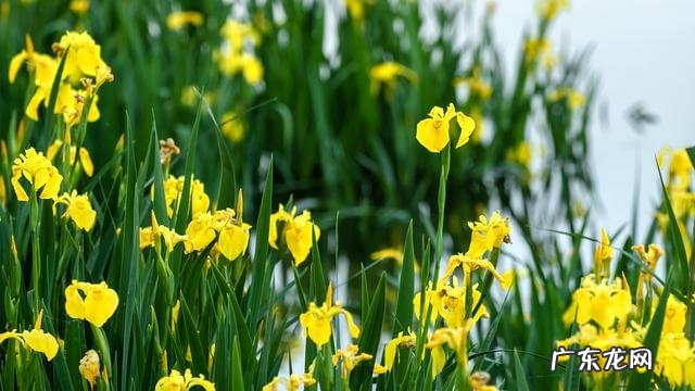 济南长途客运中心电话 济南风水最好的位置