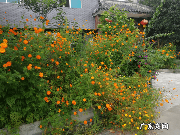 都江堰风水 青城山农村风水